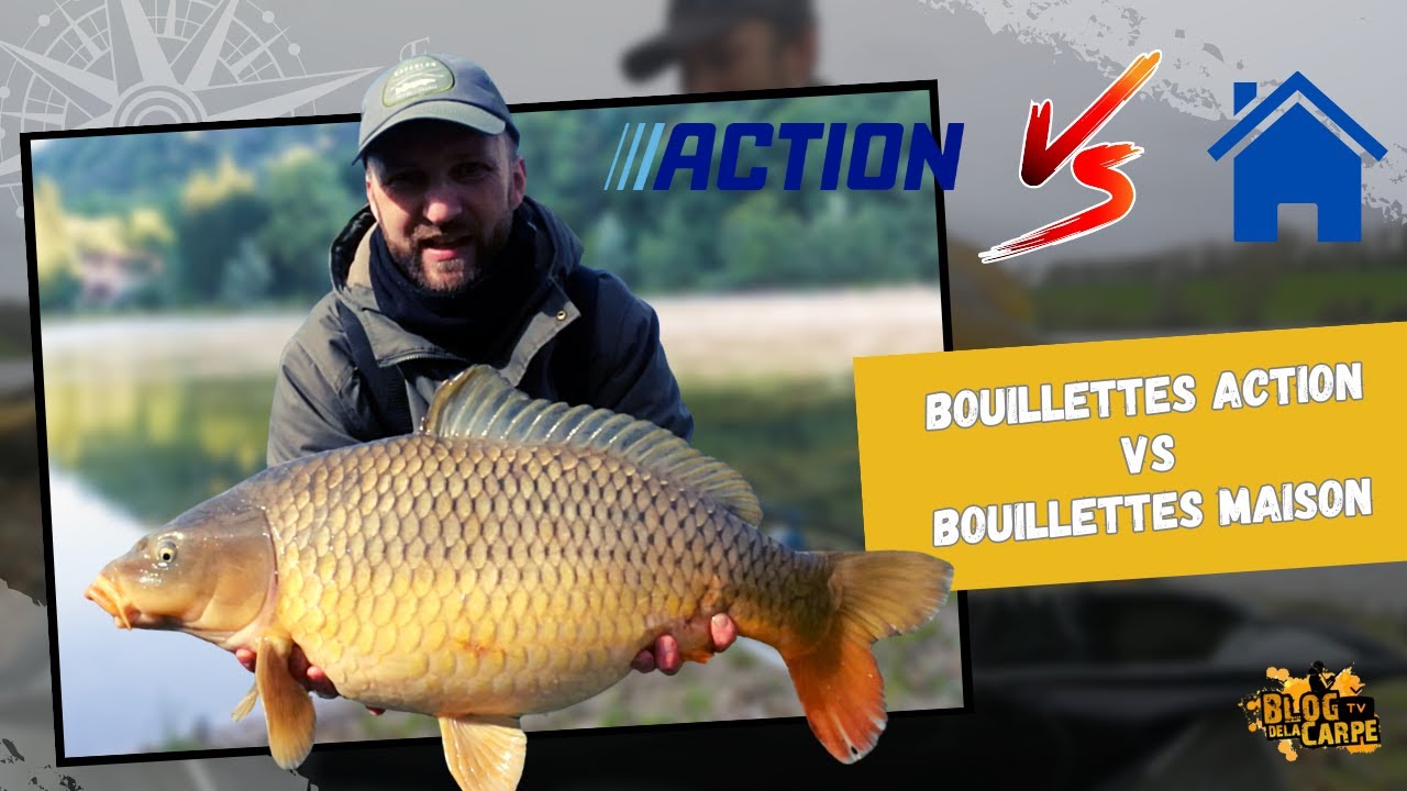 Bouillettes Action VS Bouillettes maison (En 3 heures de pêche) 