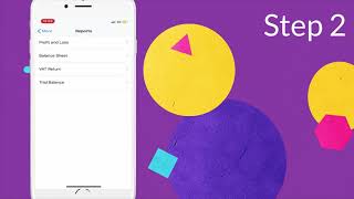 FINANCIAL REPORT VIA APP with Smarty Accounting screenshot 5