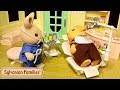 КАК БЫСТРО ВЫРВАТЬ ЗУБ? Кролик-Стоматолог: Мультяшный ОБЗОР Sylvanian Families (+ конкурс)