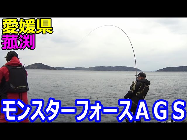Hooking a sea bream with Daiwa Monster Force AGS - YouTube