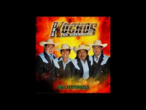 los kochos de guerrero... viva tlapehuala