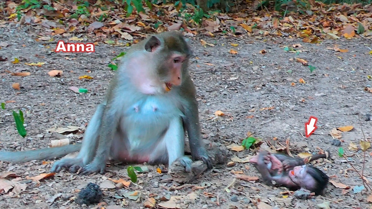 This is teaching the right lesson while her daughter Amina is stubborn and disobedient