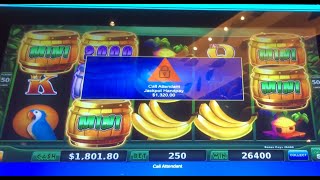 Handpay Drop N Lock That's Bananas. Over 200x Win Dancing Drums Followed By Rakin Bacon Massive Win