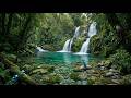 🍀 Beautiful Soothing Music ✨ Deep Relaxation, Healing & Inner Peace