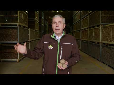 Wideo: Jak Przechowywać Obrane Ziemniaki