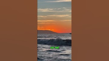 GEN CỦA NGƯỜI NGHÈO LÀ THÍCH CHĂM SÓC NGƯỜI KHÁC…#baihoccuocsong #baihocthanhcong #tritue #trithuc