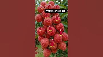 11 dancing girl ढूंढो🤔 #dancinggirls #dancevideo #dance #dancechallenge #shorts #eyetest #challenge