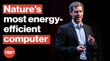 AI uses too much energy—nanotech is the solution | Dr. Mark Hersam | TEDxChicago