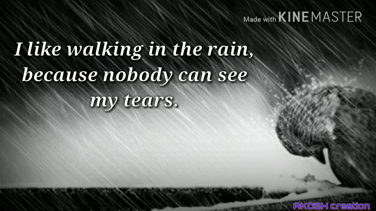 37+ Life Love Status Pic Images