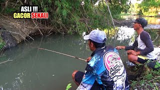 Mancing di spot yang tidak di duga'',,ikan nya banyak sekali