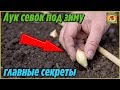 Лук севок ПОД ЗИМУ Самые ВАЖНЫЕ секреты осенней посадки ЛУКА Простой и надежный способ выращивания