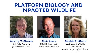 Retiring Offshore Rigs 2022 - Platform Biology and Impacted Wildlife