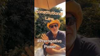 Constitutional Law | Prerogative Powers | SQE With Dr Schatz