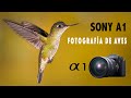 Sony A1 para Fotografía de Aves