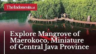 Explore Mangrove Of Maerokoco, Miniature Of Central Java Province