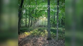 Harmonic Pathways - The Stream Finds Its Line