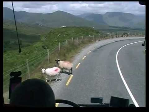 Irland - Ring of Kerry