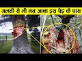 अगर गलती से भी इनके करीब मत जाना  most dangerous trees you should never touch ! Most unusual trees