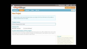 Pay4Bugs Introduction
