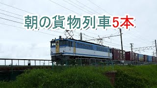 JR貨物 2021/05/16 JR貨物さんの粋な計らい 3071レにEF65-2127充当