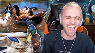 Jai Trouvé La Meilleure Activité