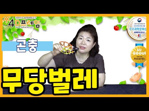 포디프레임으로 만드는 무당벌레~