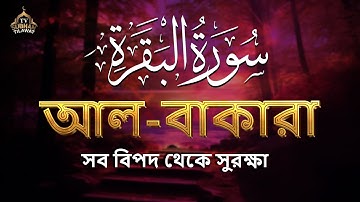 🌿 পৃথিবীর সবচেয়ে আবেগময় সুরা বাকারা তেলাওয়াত | Surah Al Baqarah (سورة البقرة) by Alaa Aqel 🎧