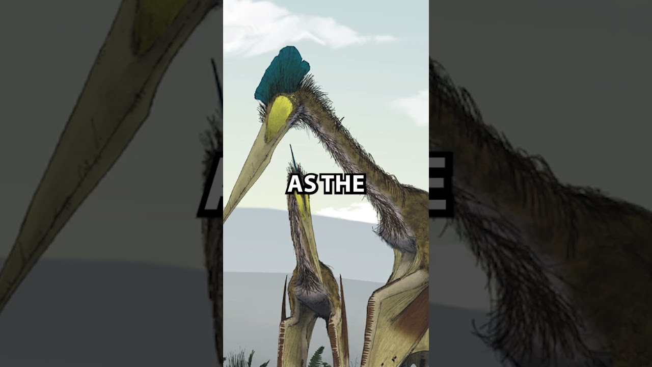 This Is Proof That Dragons Really Existed 