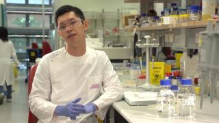 UQ AIBN Vaccines