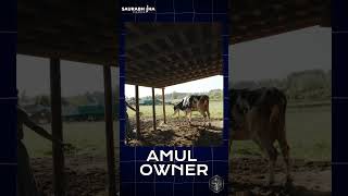 The Genius Business Model of Amul | Saurabh Jha