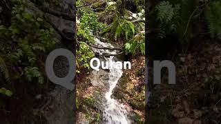 Download Lagu Surah Anbiya ayat 95-96 urdu translation MP3