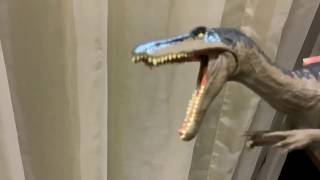 RAWR 4