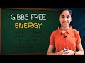 What is Gibbs Free Energy? || Thermodynamics || Class 11