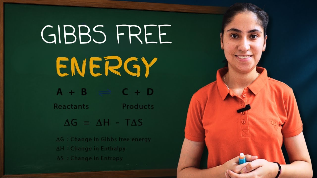 What is Gibbs Free Energy? || Thermodynamics || Class 11 - YouTube