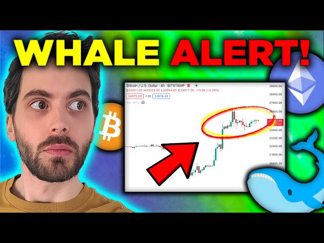 The REAL REASON Bitcoin Is Going Up… [Whale Buys $1 BILLION]