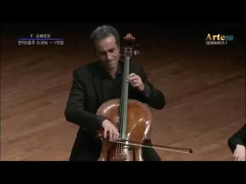 Franz Schubert- String Quintet in C Major Op. 163, D. 956 - YouTube