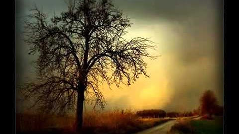 القارئ عبدالله فهد الزهراني wmv YouTube