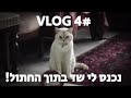 הולוג של סטפן 4 צא דיבוק צא הולוג של סטפן 4 צא דיבוק צא