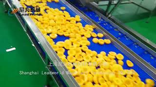 Yellow peach canned production line video(黄桃罐头生产线整线视频)