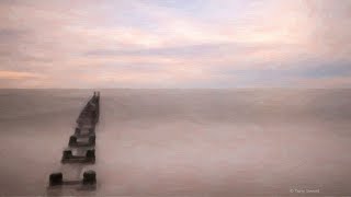 Celebrity Snap Art 4 - Getting Started Net Worth