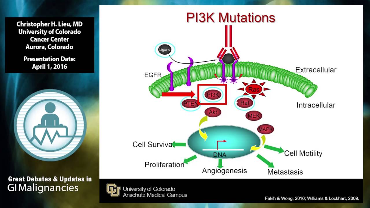 Biomarkers for treatment selection in colon cancer