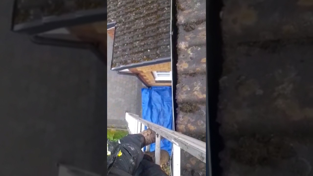 Full roof moss removal | handscraped | hypochlorite use . 