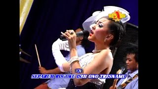 Dangdut Koplo Hot _ Separoh Rogo By Elsa Safira