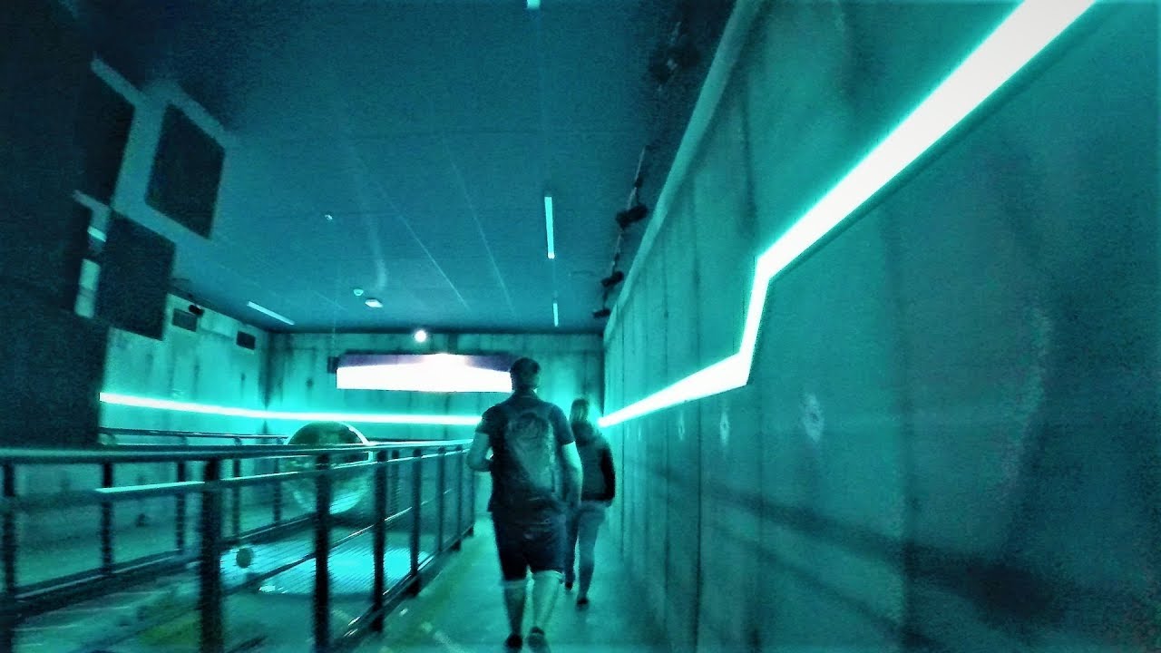 Hyperion - Mega Coaster at Energylandia - Queue-line Walkthrough (opening day)