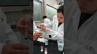 Como é a Prática de Farmacologia | Medicina veterinária