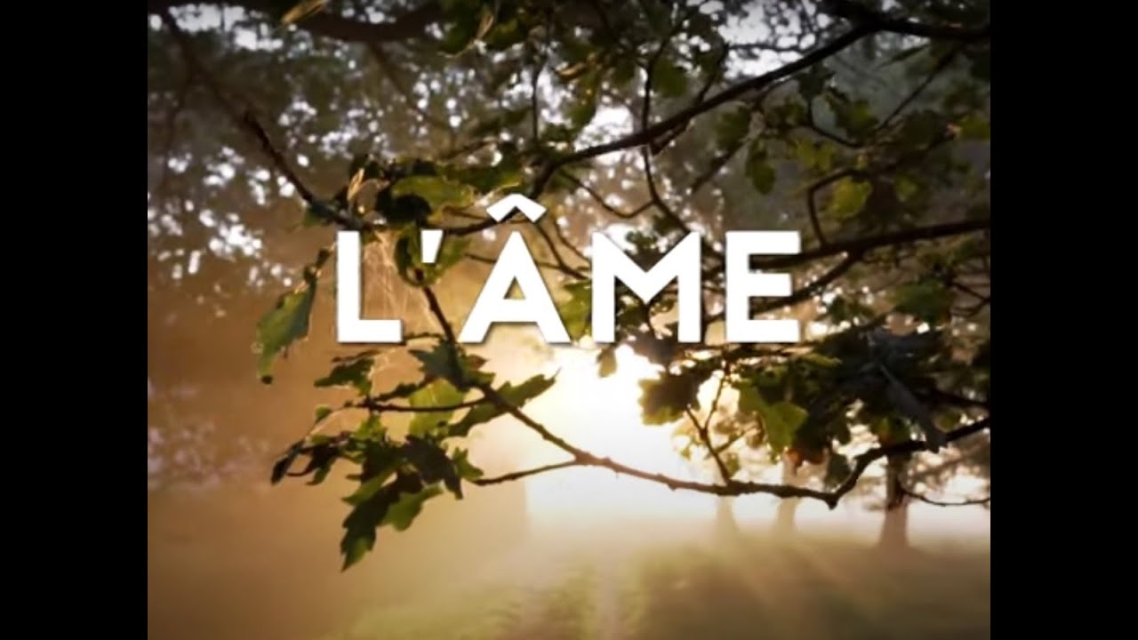 #spiritualité - L'âme une force dans sa vie - YouTube