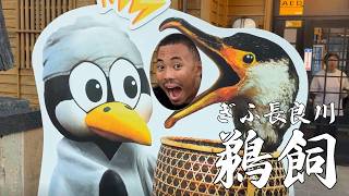 ぎふ長良川鵜飼に乗船！Ukai Cormorant Fishing - Gifu -【岐阜Vlog】