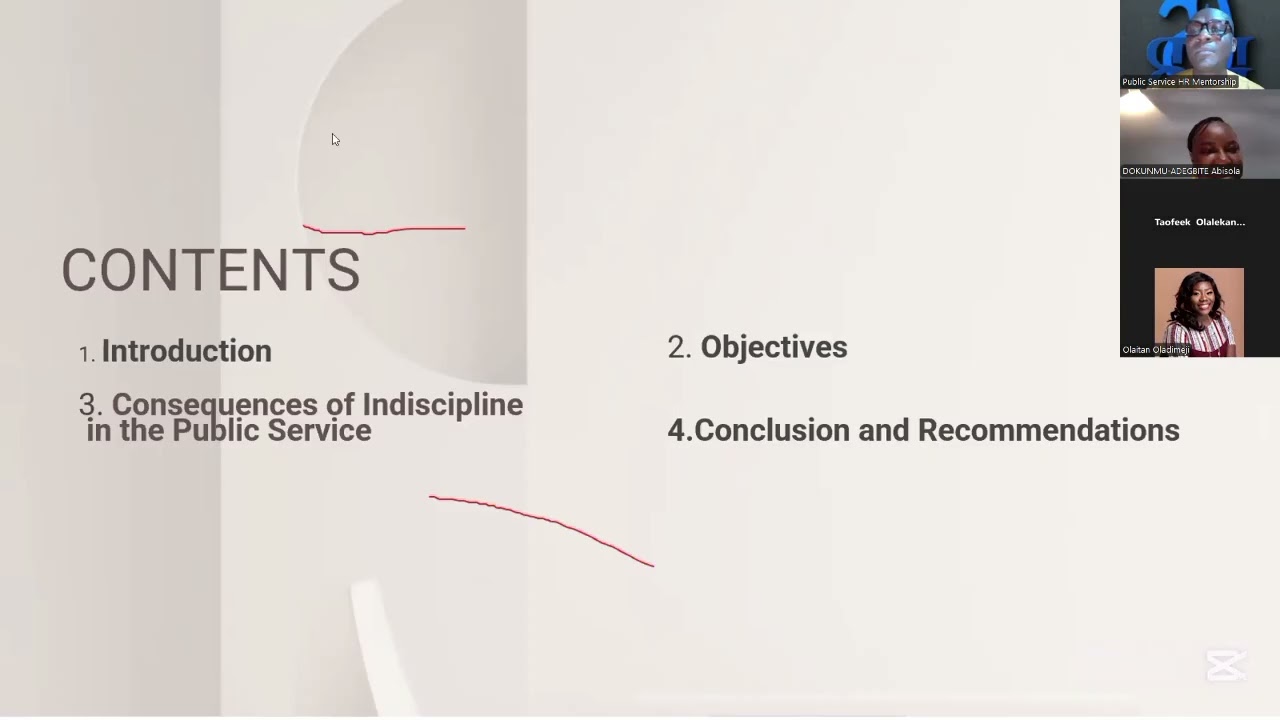 Reinforcing Discipline and Ethical Conduct in the Public Service 2