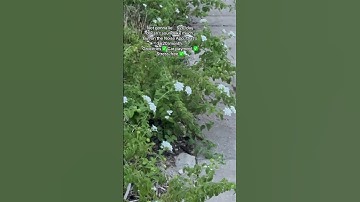 only 15 mins a day #sidehustle #savingmoney #noise #magical