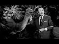 1964 National Wildlife Week PSA
